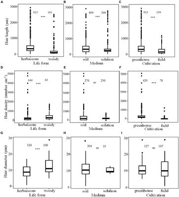 Morphological responses of root hairs to changes in soil and climate depend on plant life form